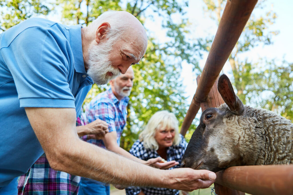 The Gardens at Quail Springs | Senior man at a petting zoo